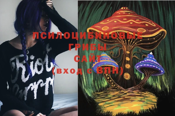 apvp Медвежьегорск